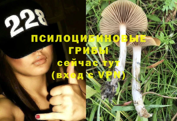прущая мука Бородино